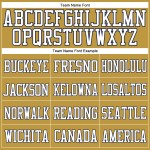 Maillot de football authentique personnalisé en maille blanc-bleu marine, couleur or vieilli